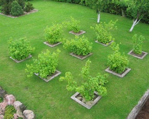 Nice Square Orchard Garden Patio Layouts | For the Home | Pinterest ...