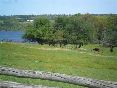 Explore Kings Landing Historical Settlement, Prince William, NB