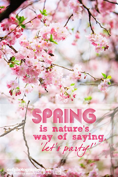 May Spring Quotes. QuotesGram