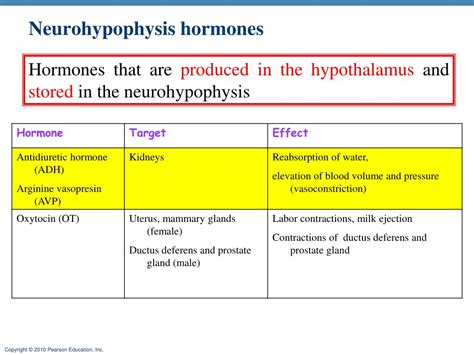 PPT - Anatomy Summary: Hormones PowerPoint Presentation, free download ...