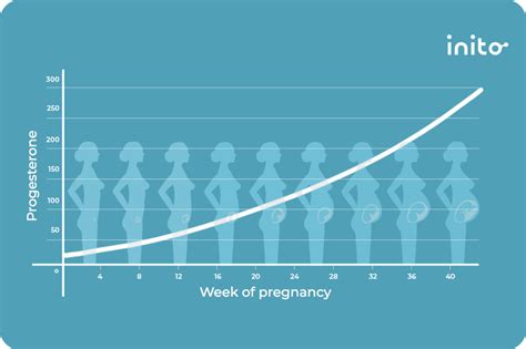 Weekly Progesterone Levels: What's Normal During Pregnancy?