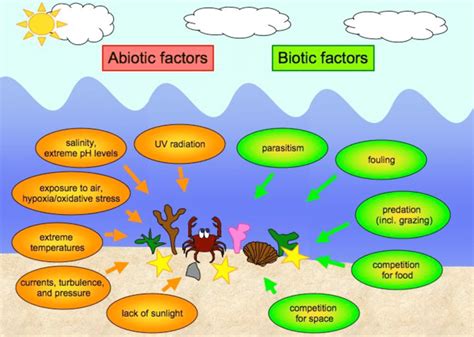 10 Examples Of Biotic Factors