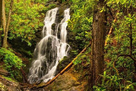 Top 5 Easy Hiking Trails in the Smoky Mountains – Grand Smokies Resort ...