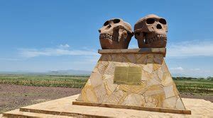 Olduvai Gorge Museum - منطقة أروشا: Working hours, Activities, Visitor ...