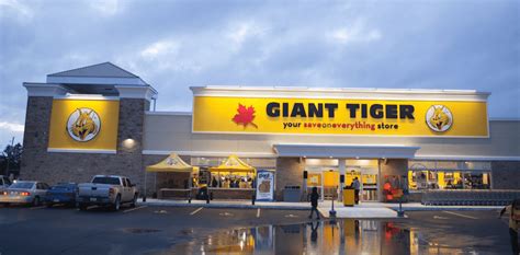 Get a $100 Giant Tiger Gift Card! – Test & Keep the New Phone 13 Pro!