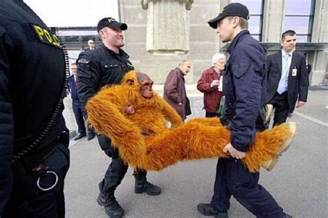 10 Hilarious Pictures Of People Getting Arrested