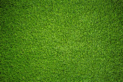 15,436,443 BEST Grass IMAGES, STOCK PHOTOS & VECTORS | Adobe Stock