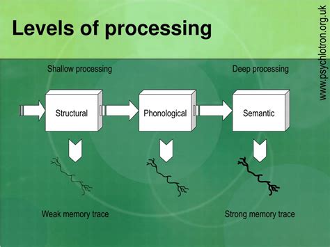 Levels Of Processing Model Of Memory