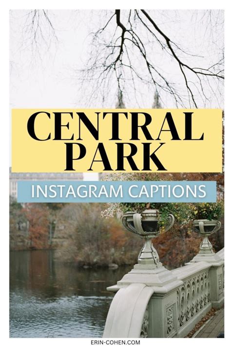 90 Central Park Captions That Are Scroll-Stopping - Erin Cohen