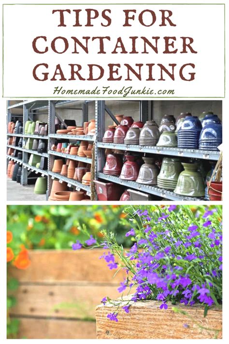 Simple Container Gardening Tips | Homemade Food Junkie