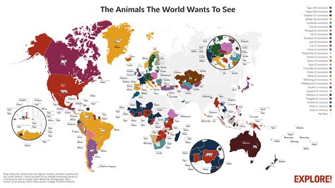 The Most Popular Animals in Every Country Around The World - African ...