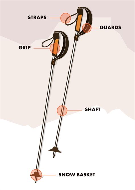 How to choose your ski poles | Salomon