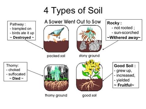 chart review of the parable of the sower - Google Search | Parable of the sower for kids ...