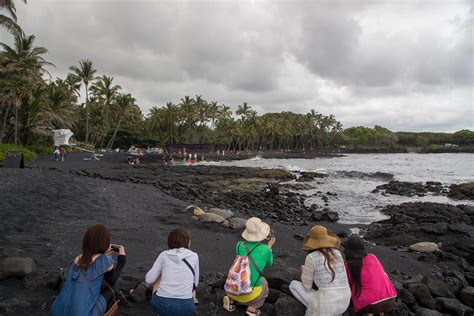 Black Sand Beach & Turtles on Big Island - The Elevated Moments