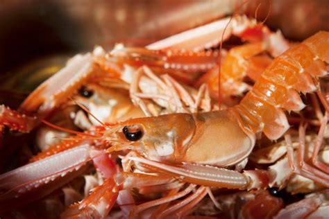 Langoustine Recipes: Langoustine Tail, Stews - Great British Chefs