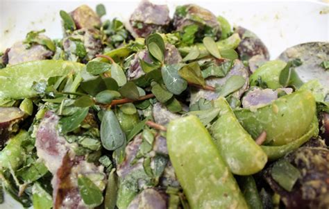 Purslane Potato Salad | Edible Louisville & the Bluegrass