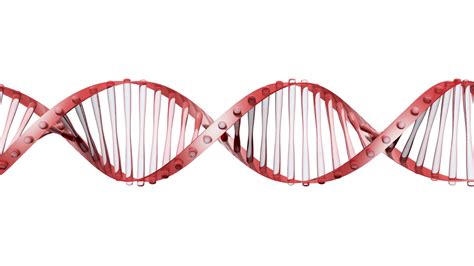 dna strand png 20 free Cliparts | Download images on Clipground 2024