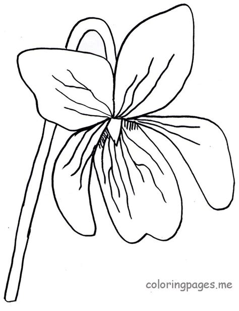 Violet Flower Drawing - ClipArt Best