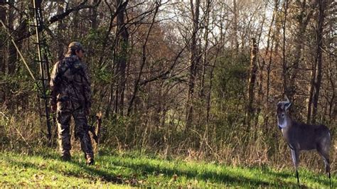 Do Deer Decoys Work? They Can Under the Right Circumstances - Hunter Gear