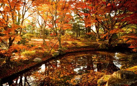 Japanese Autumn Desktop Wallpapers - Top Free Japanese Autumn Desktop ...