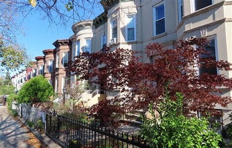 LPC Designates its First Historic District in East Flatbush