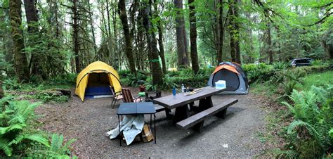 Olympic National Park Camping - change comin