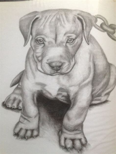 68 best images about Pitbull on Pinterest | Chanel beach, Art drawings ...