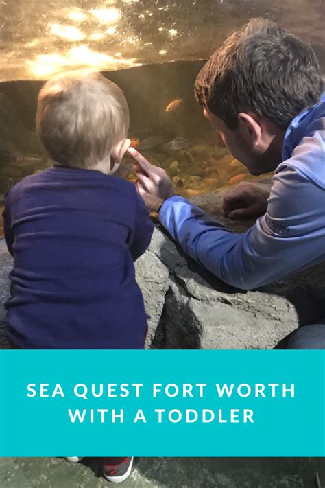 SeaQuest Fort Worth with a Toddler | Toddler activities, Fort worth ...