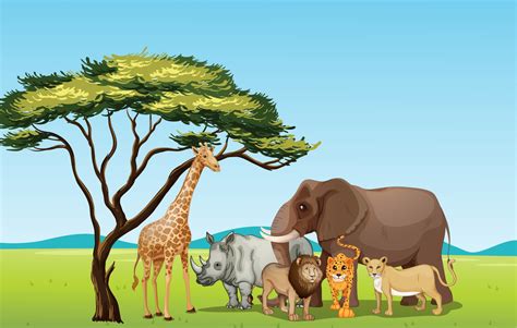 Grassland clipart 20 free Cliparts | Download images on Clipground 2024