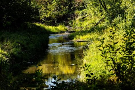 Turtle River State Park In Arvilla, ND | America's State Parks