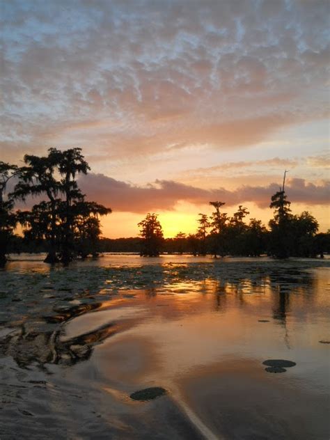 Louisiana Swamp Tours: Cool Autumn Louisiana Swamp Tours