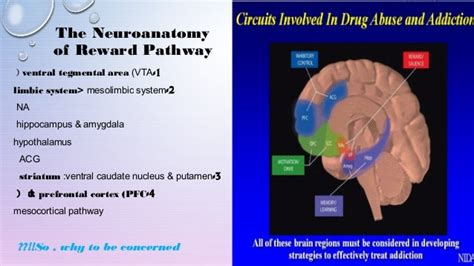 Reward system (1) (1) (1)