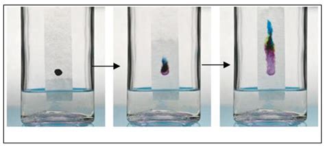 Procedure of Paper Chromatography