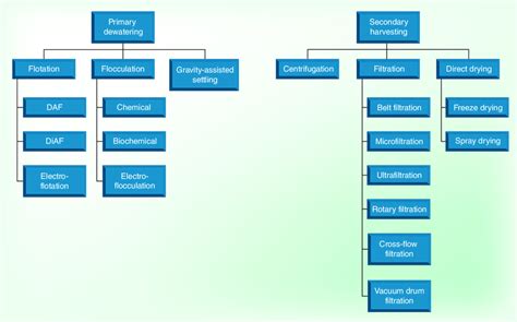 Overview of microalgae harvesting techniques. | Download Scientific Diagram