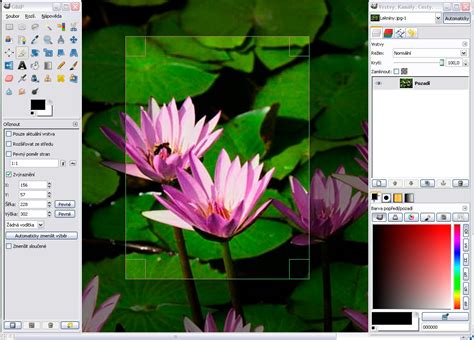 Catinate: Photoshop Vs GIMP