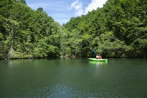 Taisho Pond Green Park 3 | Photos | Another Kyoto Media Library