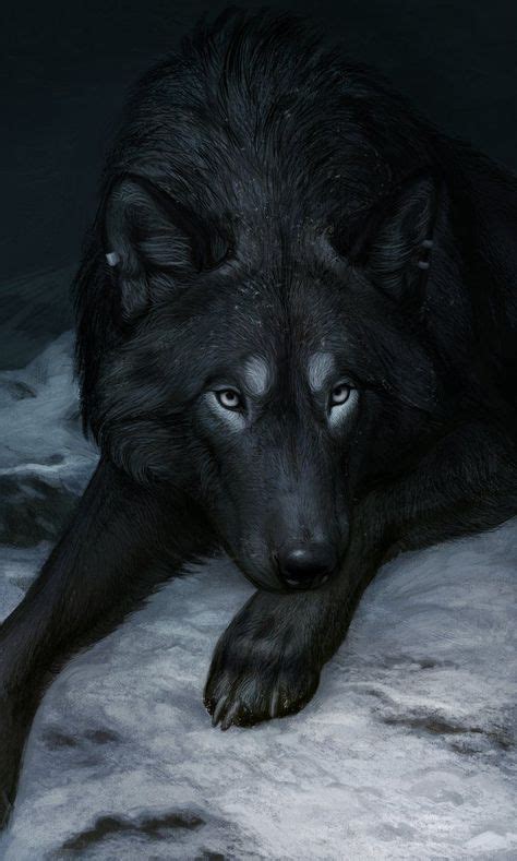 65 Lonely Wolf ideas | wolf, animals beautiful, animals wild