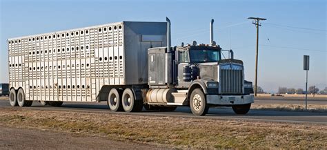 FMCSA seeks comments on definitions of agri, livestock commodities in HOS rules | TheTrucker.com