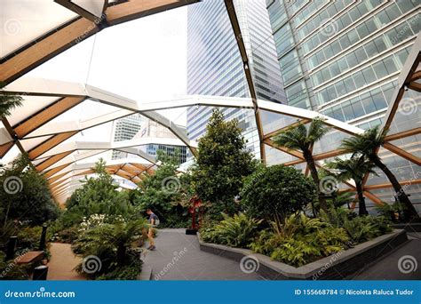 The Crossrail Place Roof Garden in Canary Wharf , London , Uk Editorial Stock Image - Image of ...