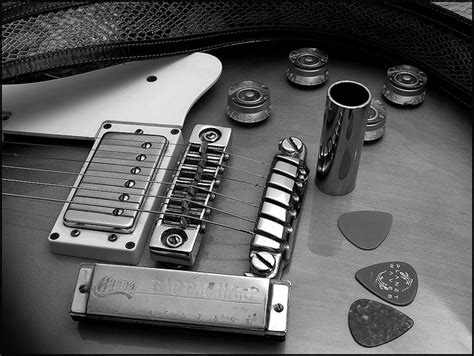 Blues | Musical instruments, Blues, Music instruments