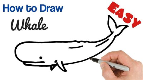 How to Draw a Whale Easy Art Tutorial for Beginners - YouTube