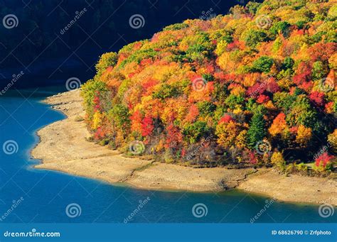 Allegheny National Forest stock photo. Image of national - 68626790