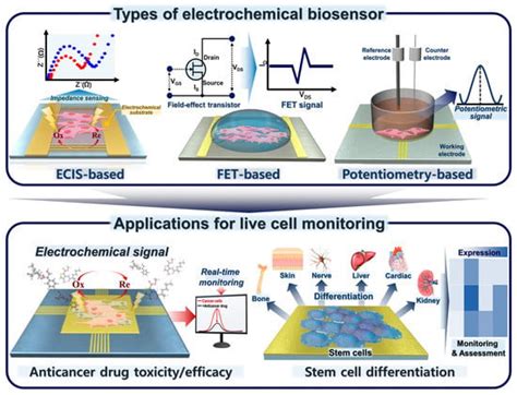 Biosensors | Free Full-Text | Recent Advances in Electrochemical Biosensors for Monitoring ...