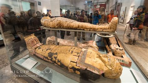 Egyptian mummies, British Museum, London, United Kingdom, #28305