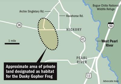 Letters: Advocate's missed mark on gopher frog case | Opinions and ...