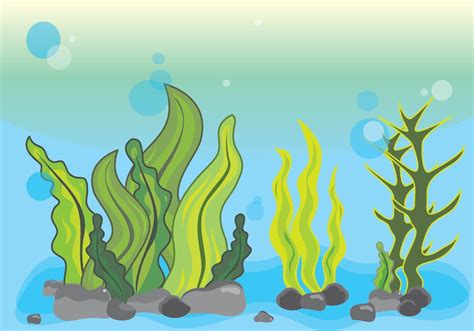 Seaweed Illustration Scene Underwater Vector Art At Vecteezy | My XXX Hot Girl