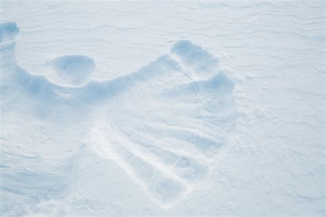 Snow Angel Free Stock Photo - Public Domain Pictures