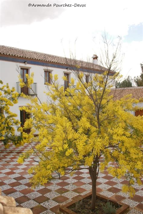 Cortijo la Perla Blanca - Stylish Bed and Breakfast Accomodation ...