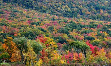 Already Time to Think about Fall in Central Vermont | Vermont.com