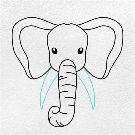 How to Draw an Elephant Face - HelloArtsy